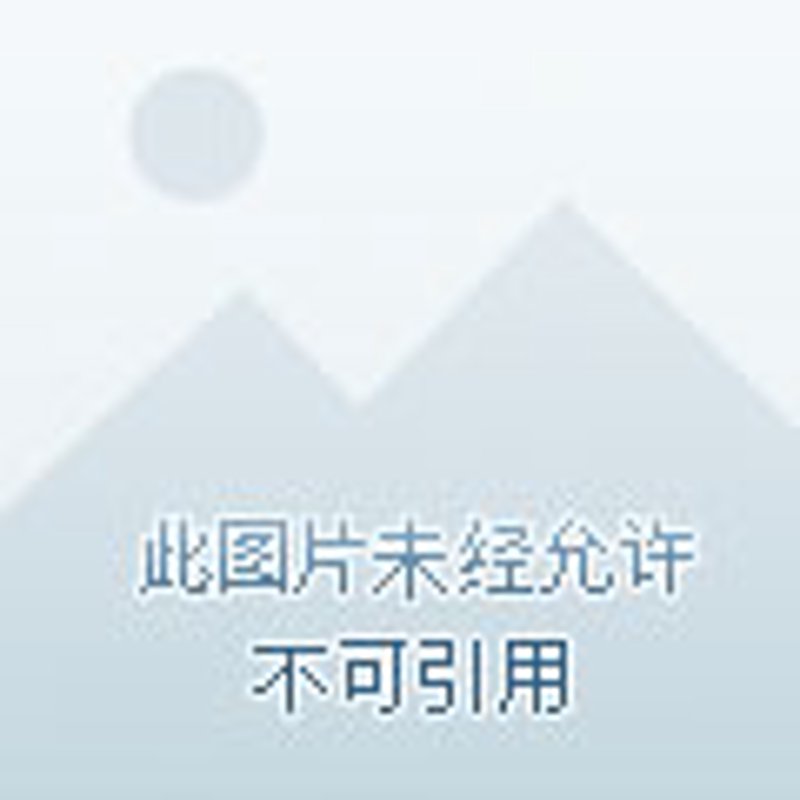 企业官网定制：构建品牌形象的智慧之选